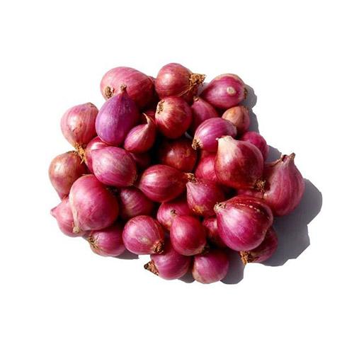 Shallot (Small Onion)