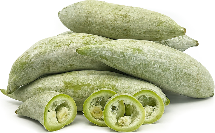 Snake Gourd